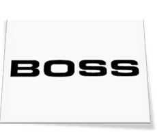 http://www.seeklogo.com/images/B/Boss-logo-556817841C-seeklogo.com.gif